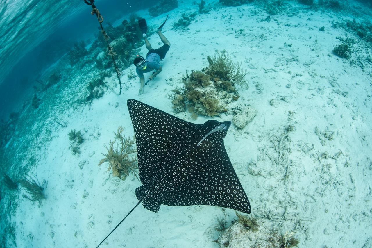 Turneffe Island Resort Turneffe Atoll Buitenkant foto